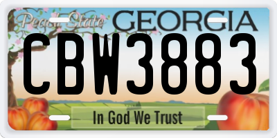 GA license plate CBW3883