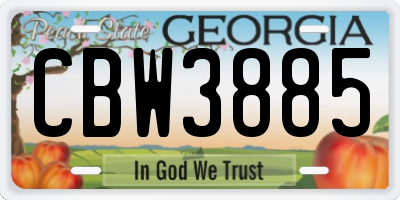 GA license plate CBW3885