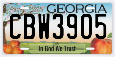 GA license plate CBW3905