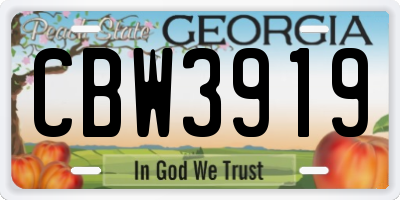 GA license plate CBW3919