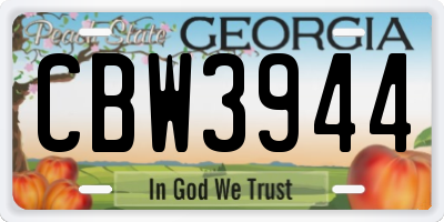 GA license plate CBW3944