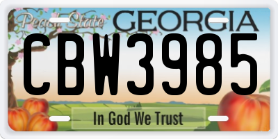 GA license plate CBW3985