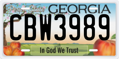 GA license plate CBW3989