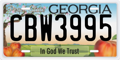 GA license plate CBW3995