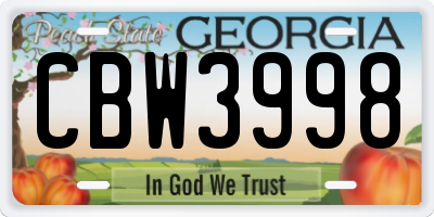 GA license plate CBW3998