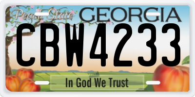 GA license plate CBW4233