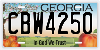 GA license plate CBW4250