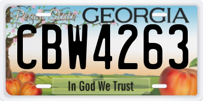 GA license plate CBW4263