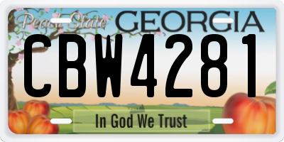 GA license plate CBW4281