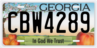 GA license plate CBW4289