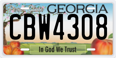 GA license plate CBW4308