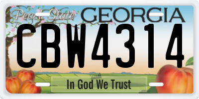 GA license plate CBW4314