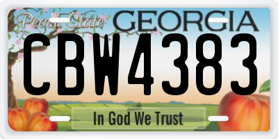 GA license plate CBW4383