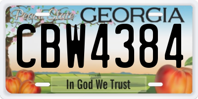 GA license plate CBW4384