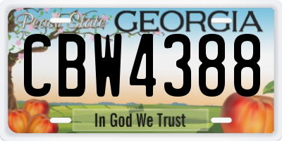 GA license plate CBW4388