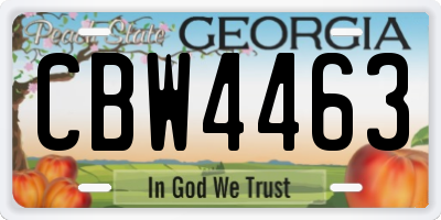 GA license plate CBW4463