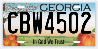 GA license plate CBW4502