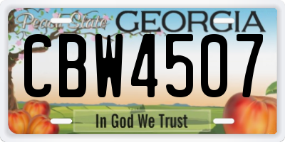 GA license plate CBW4507
