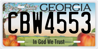 GA license plate CBW4553