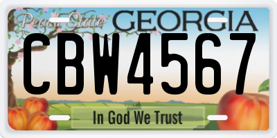 GA license plate CBW4567