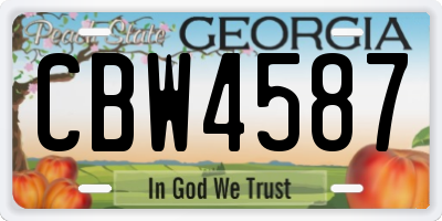 GA license plate CBW4587