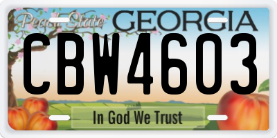 GA license plate CBW4603
