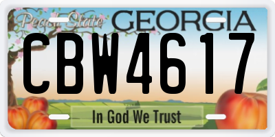 GA license plate CBW4617
