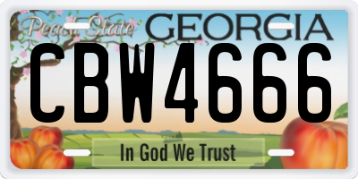 GA license plate CBW4666