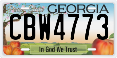 GA license plate CBW4773