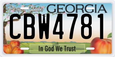 GA license plate CBW4781