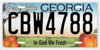 GA license plate CBW4788