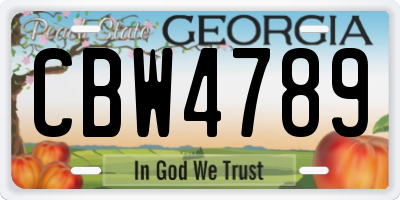 GA license plate CBW4789
