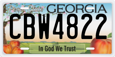 GA license plate CBW4822