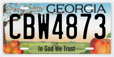 GA license plate CBW4873
