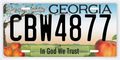GA license plate CBW4877