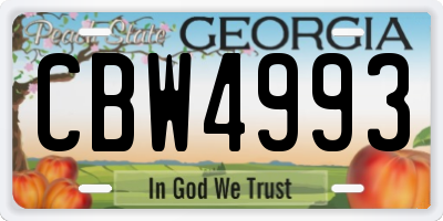 GA license plate CBW4993