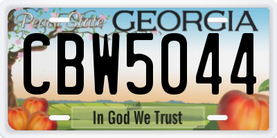 GA license plate CBW5044