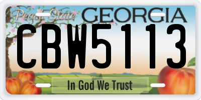 GA license plate CBW5113