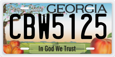 GA license plate CBW5125