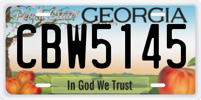 GA license plate CBW5145