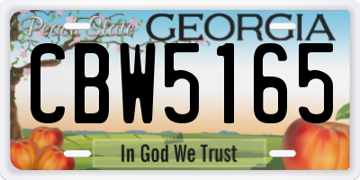 GA license plate CBW5165