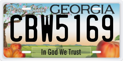 GA license plate CBW5169