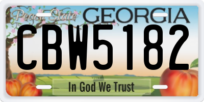 GA license plate CBW5182