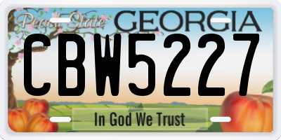 GA license plate CBW5227