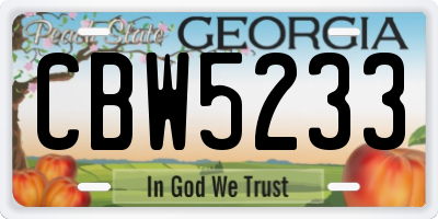 GA license plate CBW5233