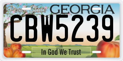 GA license plate CBW5239