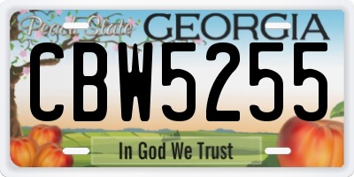 GA license plate CBW5255