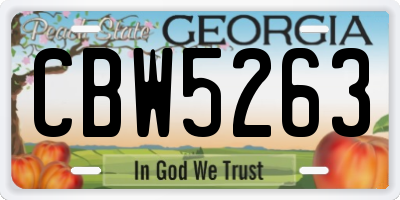 GA license plate CBW5263