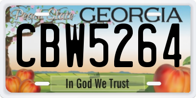 GA license plate CBW5264