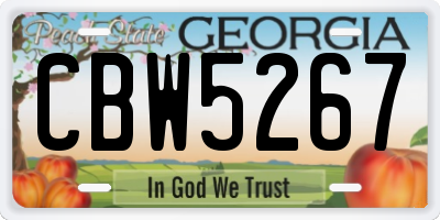 GA license plate CBW5267